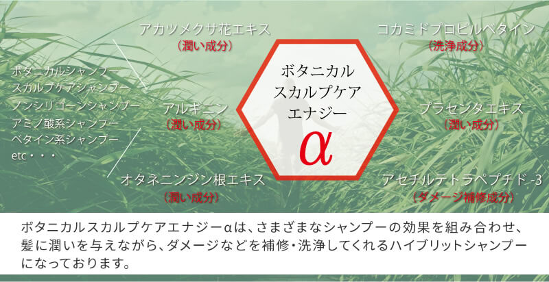 送料無料】 シャンプー メンズ 頭皮と髪を清潔に スカルプケア シャンプー 男性 頭皮ケア フケ かゆみ スカルプケア ボタニカル 男性 化粧品 メンズ  コスメ / at-ux-care-1811【宅配便のみ】｜消臭ケア｜ワイシャツ通販 アトリエ365